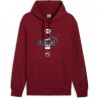 Puma Power Graphic Tr Sweatshirt Kırmızı 68270013